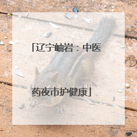 辽宁岫岩：中医药夜市护健康