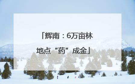 辉南：6万亩林地点“药”成金