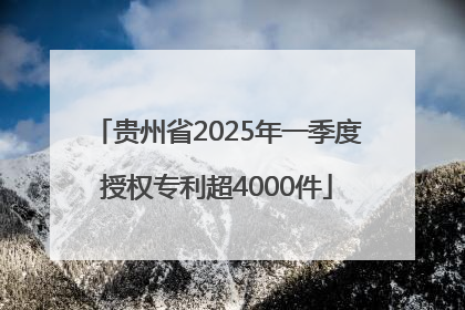 贵州省2025年一季度授权专利超4000件