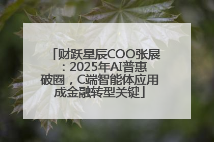 财跃星辰COO张展：2025年AI普惠破圈，C端智能体应用成金融转型关键