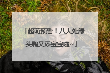 超萌预警！八大处绿头鸭又添宝宝啦~