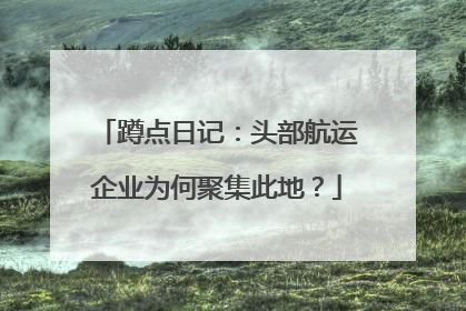 蹲点日记：头部航运企业为何聚集此地？