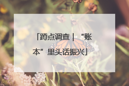蹲点调查｜“账本”里头话振兴