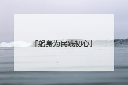 躬身为民践初心
