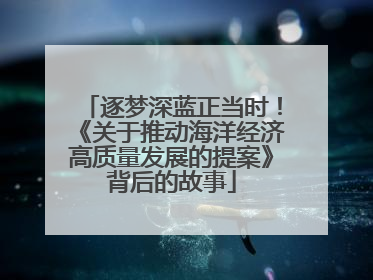 逐梦深蓝正当时！《关于推动海洋经济高质量发展的提案》背后的故事