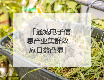 通城电子信息产业集群效应日益凸显