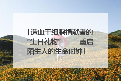 造血干细胞捐献者的“生日礼物”——重启陌生人的生命时钟