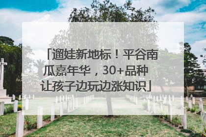 遛娃新地标！平谷南瓜嘉年华，30+品种让孩子边玩边涨知识