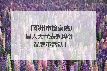 邓州市检察院开展人大代表观摩评议庭审活动