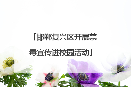 邯郸复兴区开展禁毒宣传进校园活动