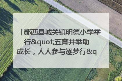 郧西县城关镇明德小学举行"五育并举助成长，人人参与逐梦行"庆六一活动