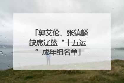 郭艾伦、张镇麟缺席辽篮“十五运”成年组名单
