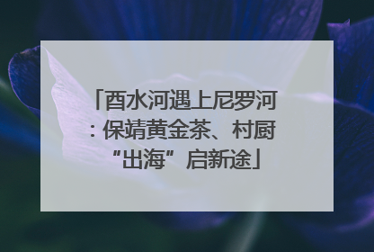 酉水河遇上尼罗河：保靖黄金茶、村厨“出海”启新途