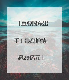 重要股东出手！最高增持超29亿元