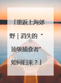 重返上海郊野｜消失的“顶级捕食者”如何归来？