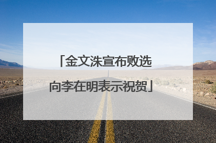 金文洙宣布败选 向李在明表示祝贺