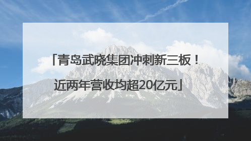 青岛武晓集团冲刺新三板！近两年营收均超20亿元