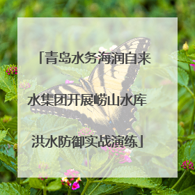 青岛水务海润自来水集团开展崂山水库洪水防御实战演练