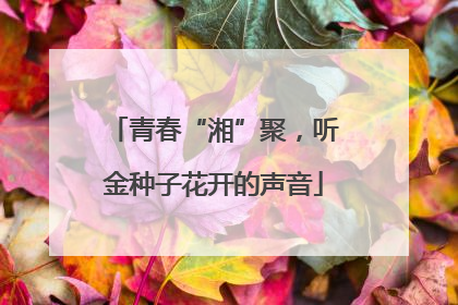 青春“湘”聚，听金种子花开的声音
