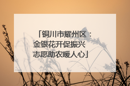 铜川市耀州区：金银花开促振兴 志愿助农暖人心