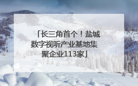 长三角首个！盐城数字视听产业基地集聚企业113家