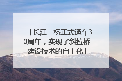 长江二桥正式通车30周年，实现了斜拉桥建设技术的自主化