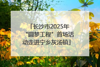 长沙市2025年“圆梦工程”首场活动走进宁乡灰汤镇