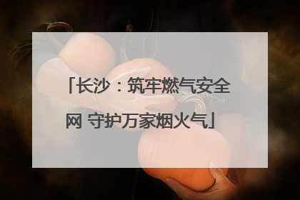 长沙：筑牢燃气安全网 守护万家烟火气