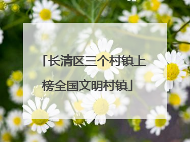 长清区三个村镇上榜全国文明村镇