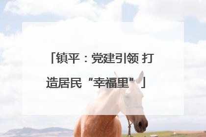 镇平：党建引领 打造居民“幸福里”