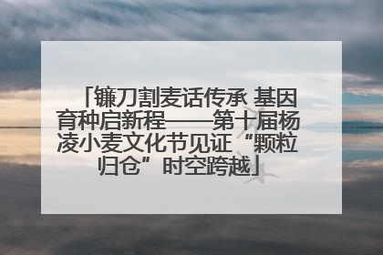 镰刀割麦话传承 基因育种启新程——第十届杨凌小麦文化节见证“颗粒归仓”时空跨越