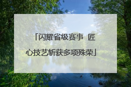 闪耀省级赛事  匠心技艺斩获多项殊荣