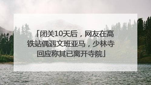 闭关10天后，网友在高铁站偶遇文班亚马，少林寺回应称其已离开寺院