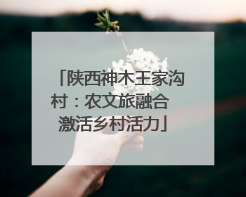陕西神木王家沟村：农文旅融合 激活乡村活力