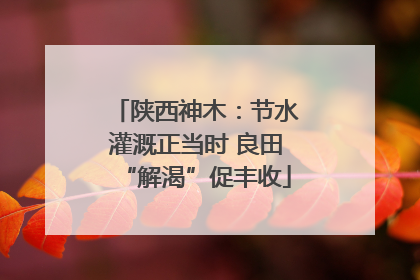 陕西神木：节水灌溉正当时 良田“解渴”促丰收