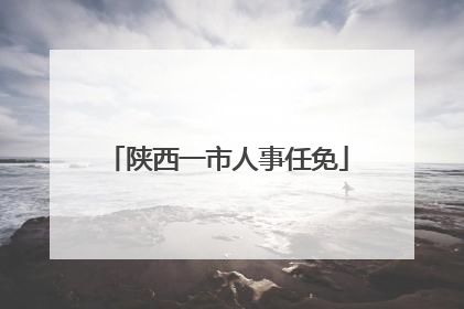 陕西一市人事任免