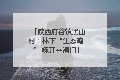 陕西府谷镇黑山村：林下“生态鸡” 啄开幸福门