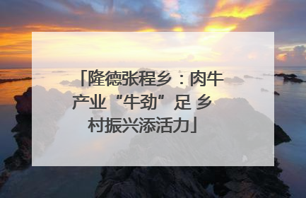 隆德张程乡：肉牛产业“牛劲”足 乡村振兴添活力