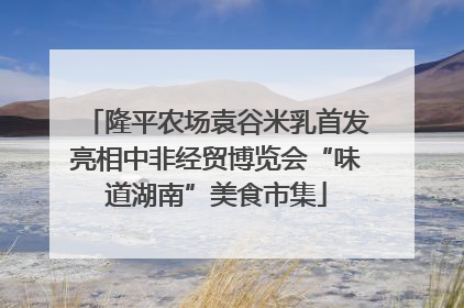 隆平农场袁谷米乳首发亮相中非经贸博览会“味道湖南”美食市集