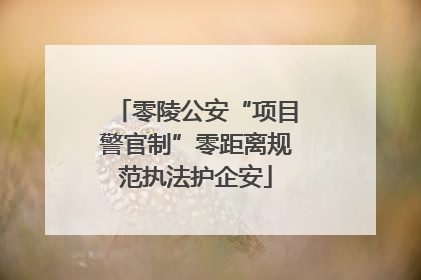 零陵公安“项目警官制”零距离规范执法护企安