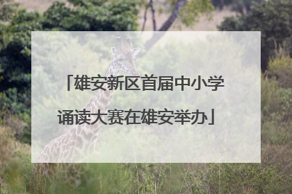 雄安新区首届中小学诵读大赛在雄安举办