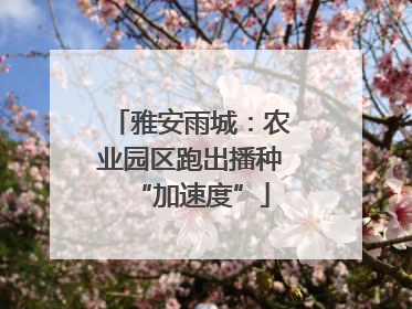 雅安雨城：农业园区跑出播种“加速度”