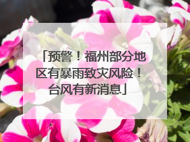 预警！福州部分地区有暴雨致灾风险！台风有新消息