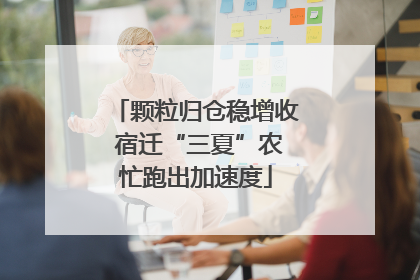 颗粒归仓稳增收 宿迁“三夏”农忙跑出加速度