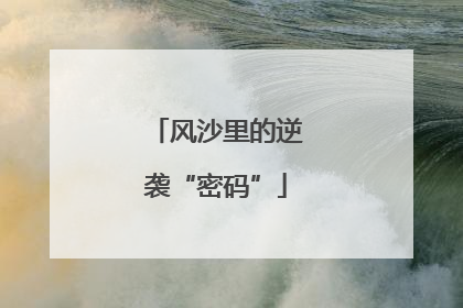风沙里的逆袭“密码”