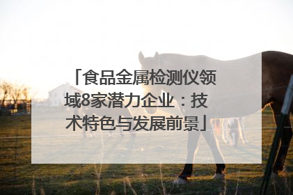 食品金属检测仪领域8家潜力企业：技术特色与发展前景
