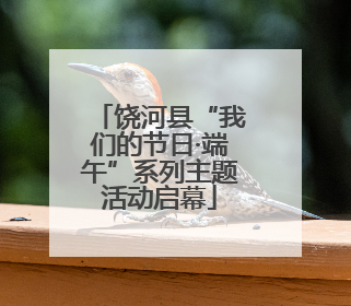 饶河县“我们的节日·端午”系列主题活动启幕