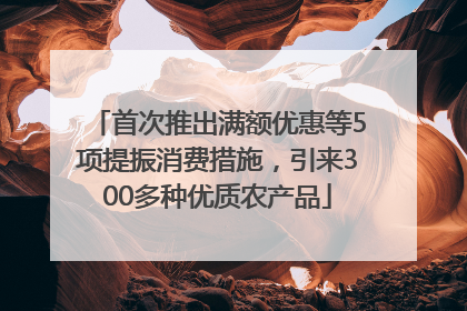 首次推出满额优惠等5项提振消费措施，引来300多种优质农产品