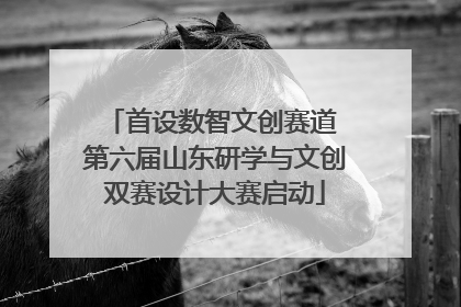 首设数智文创赛道 第六届山东研学与文创双赛设计大赛启动