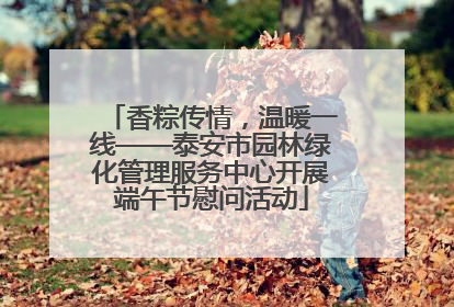 香粽传情，温暖一线——泰安市园林绿化管理服务中心开展端午节慰问活动